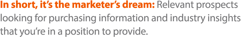 In short, it s the marketer s dream: Relevant prospects looking for purchasing information and industry insights that   