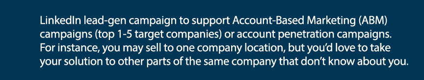 LinkedIn lead-gen campaign to support Account-Based Marketing (ABM) campaigns (top 1-5 target companies) or account p   